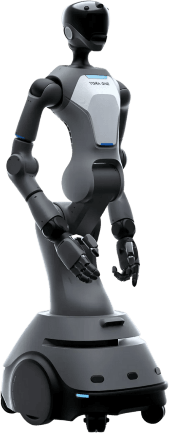 ToraOne
