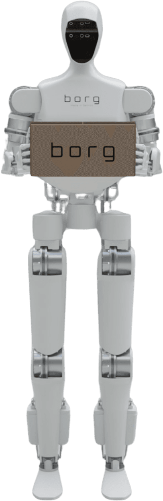 Borg Robotics robots