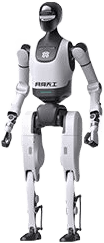 X-Humanoid robots